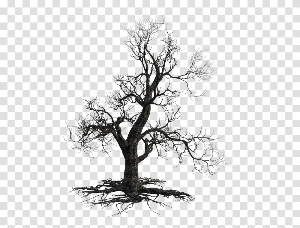 Dead Tree Scary Halloween Nature Autumn Old California Live Oak, Plant, Outdoors, Silhouette, Cross Transparent Png
