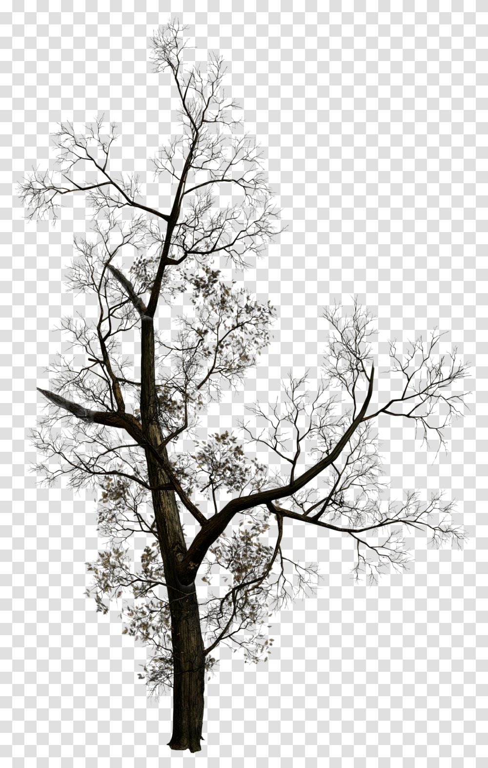 Dead Tree Silhouette, Cross, Nature, Outdoors Transparent Png