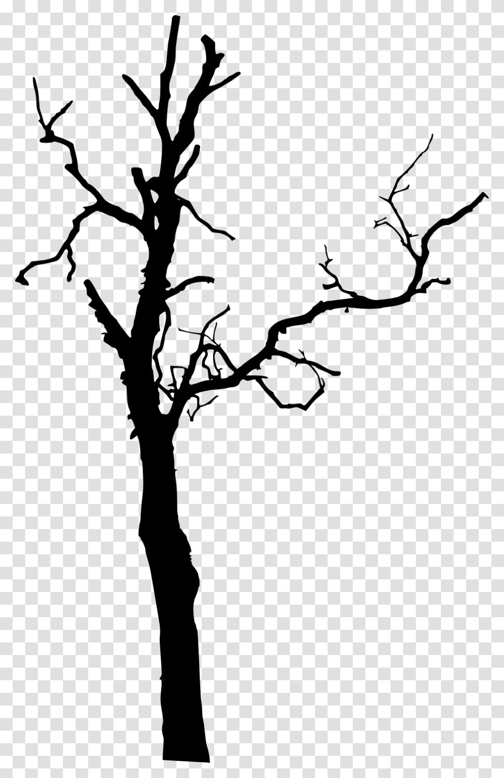 Dead Tree Silhouette, Plant, Tree Trunk, Flower, Blossom Transparent Png