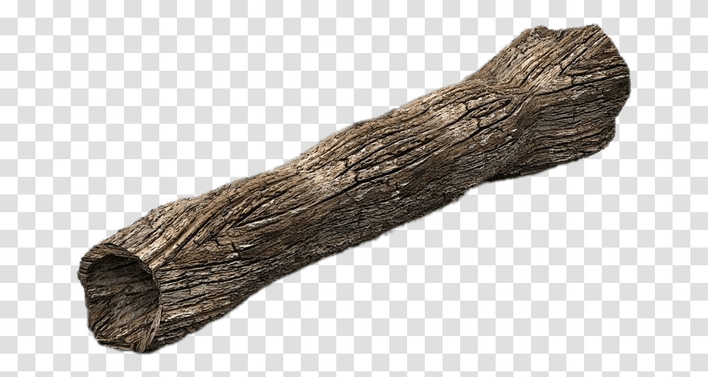 Dead Tree Trunk, Wood, Driftwood, Stick, Wand Transparent Png