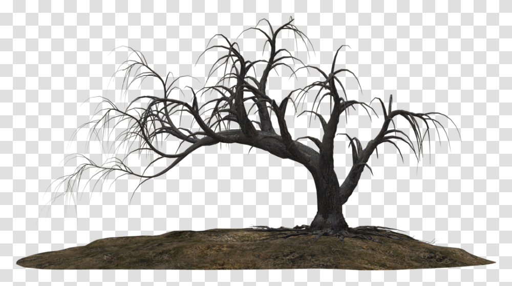 Dead Trees Google Search With Images Tree Drawing, Plant, Tree Trunk Transparent Png