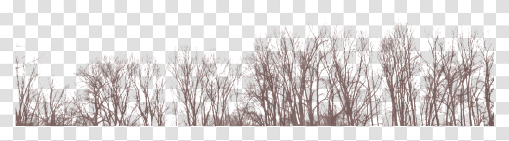 Dead Trees, Nature, Outdoors, Astronomy, Outer Space Transparent Png