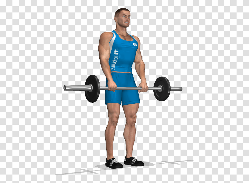 Deadlift Stacchi A Gambe Tese, Person, Human, Fitness, Working Out Transparent Png