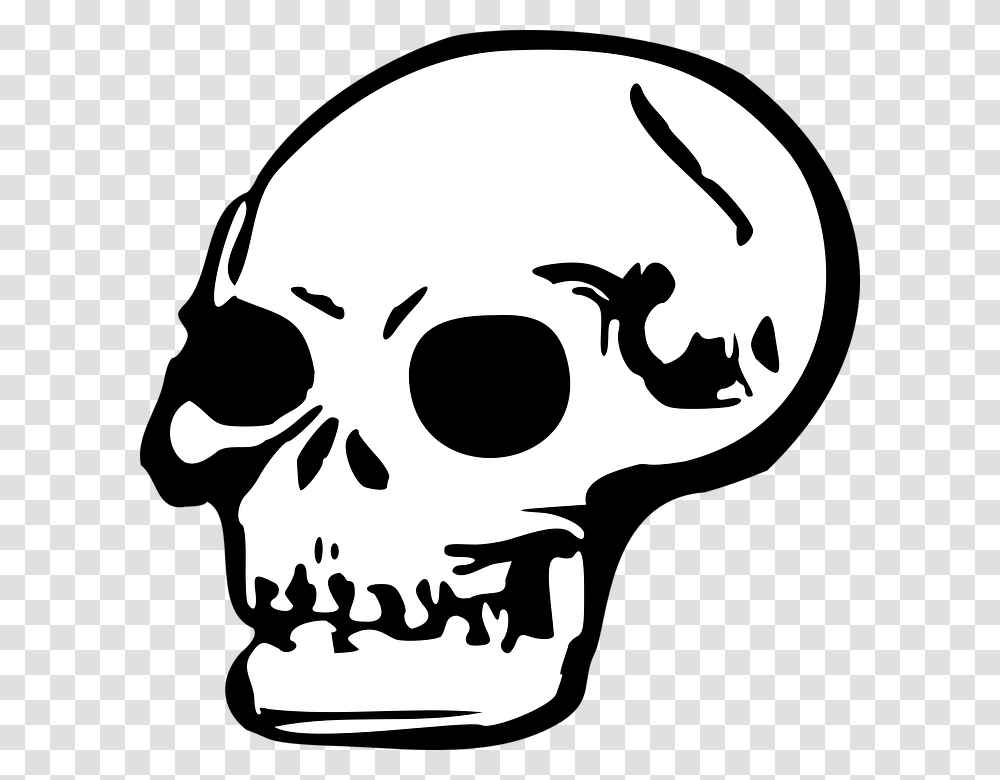 Death Clipart Skull Bone, Stencil, Pirate Transparent Png
