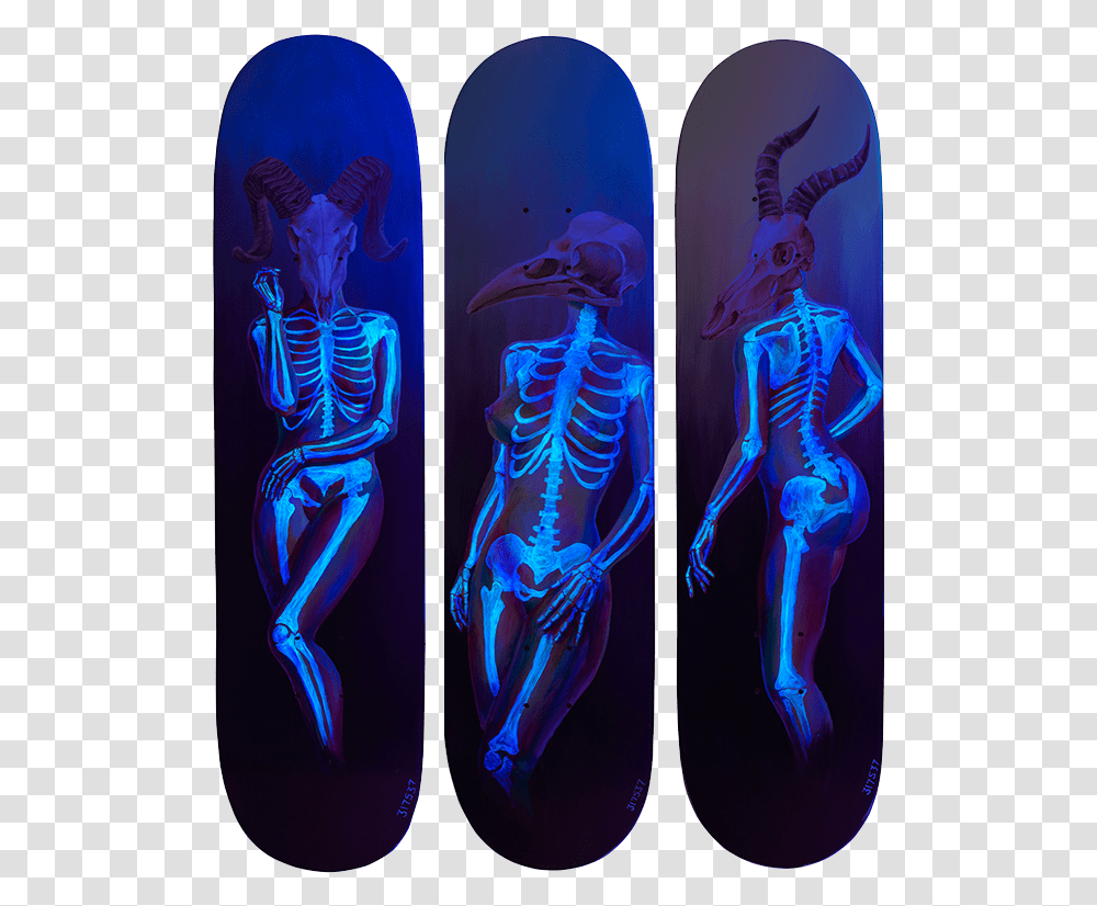 Death Of Venus Under Blacklight Download Skateboard Deck, Skeleton, Person, Human, X-Ray Transparent Png