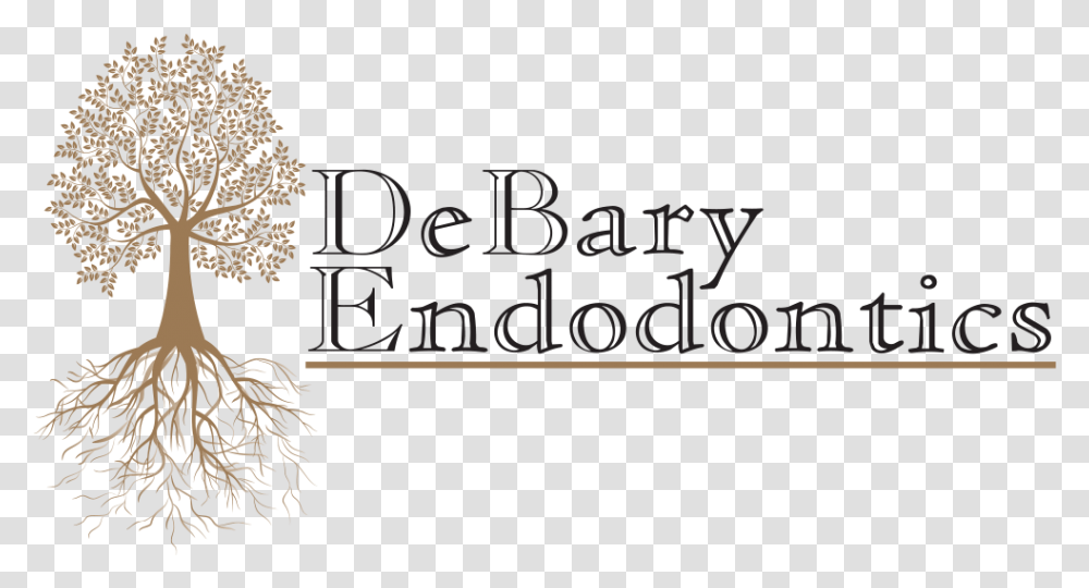 Debary Endodontics Calligraphy, Plant, Tree, Vegetation Transparent Png