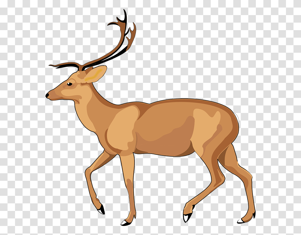 Debden Park High School, Antelope, Wildlife, Mammal, Animal Transparent Png