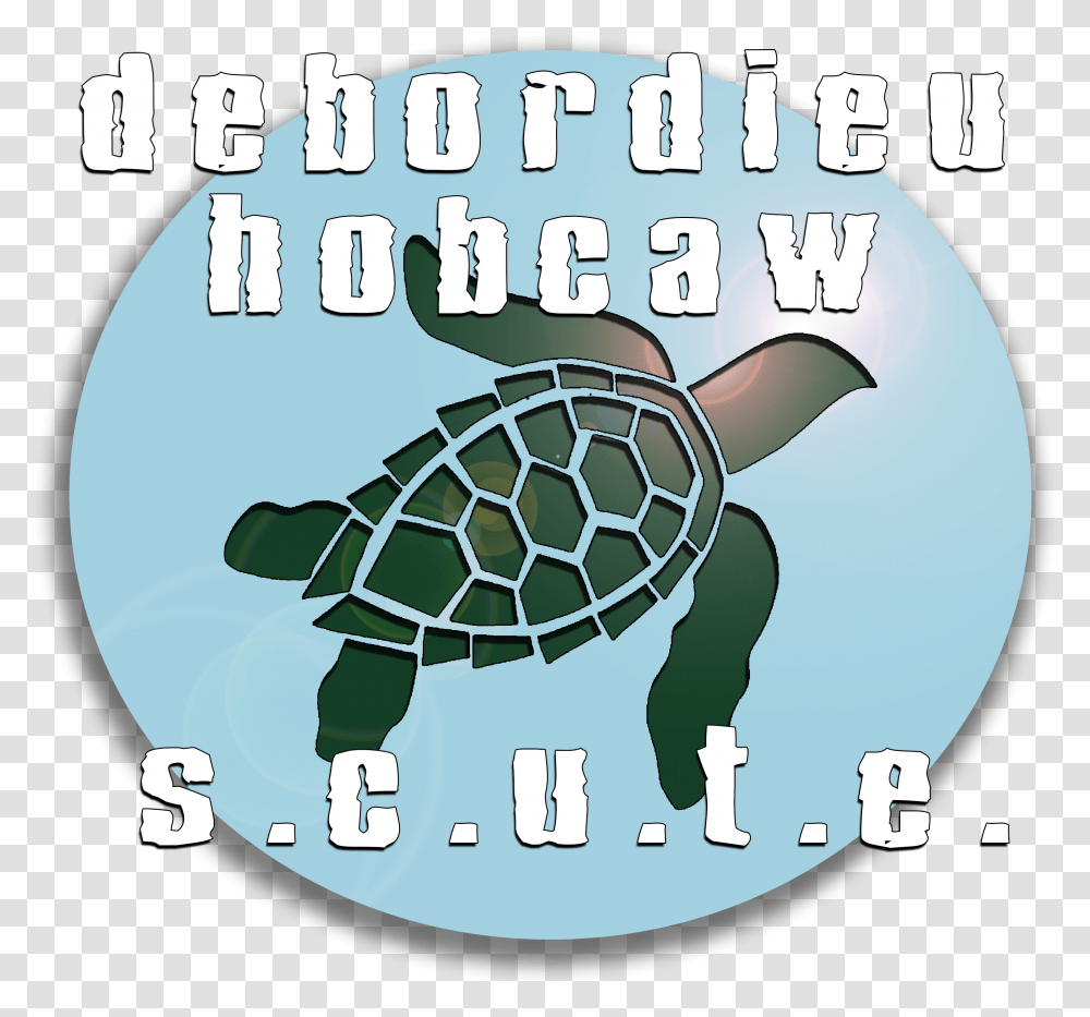 Debordieu Amp Hobcaw S Hawksbill Sea Turtle, Reptile, Sea Life, Animal, Tortoise Transparent Png