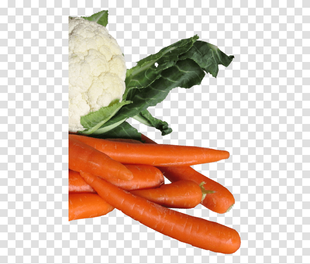 Debrecener, Plant, Hot Dog, Food, Vegetable Transparent Png