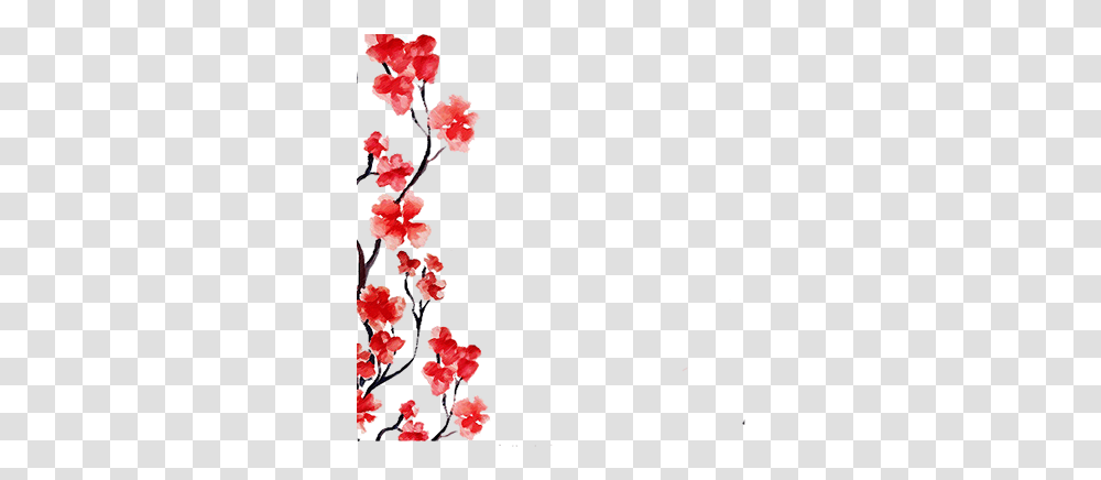 Debuting Red Perfect Cherry Blossom Flower, Plant, Petal, Anther, Hibiscus Transparent Png