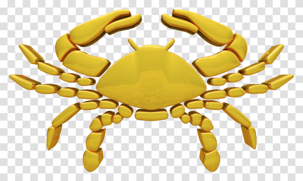 Decapodaanimal Source Foodsseafood Astrological Sign, Crab, Sea Life, King Crab, Invertebrate Transparent Png