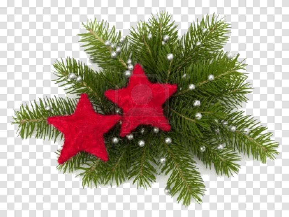 December 2013 Century House Christmas Ornament 1165x855 Christmas Ornament, Tree, Plant, Conifer, Spruce Transparent Png