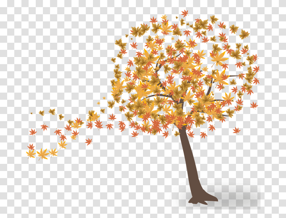 Deciduous Tree Fall Tree, Plant, Ornament, Pattern Transparent Png