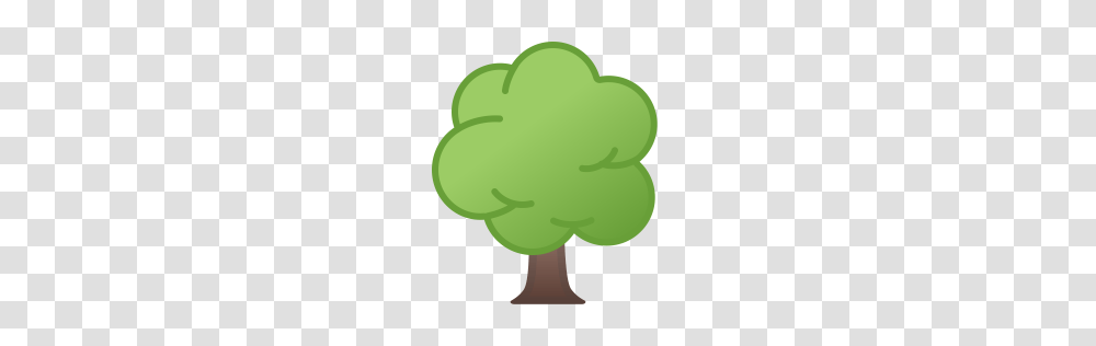 Deciduous Tree Icon Noto Emoji Animals Nature Iconset Google, Green, Plant, Tennis Ball, Sport Transparent Png