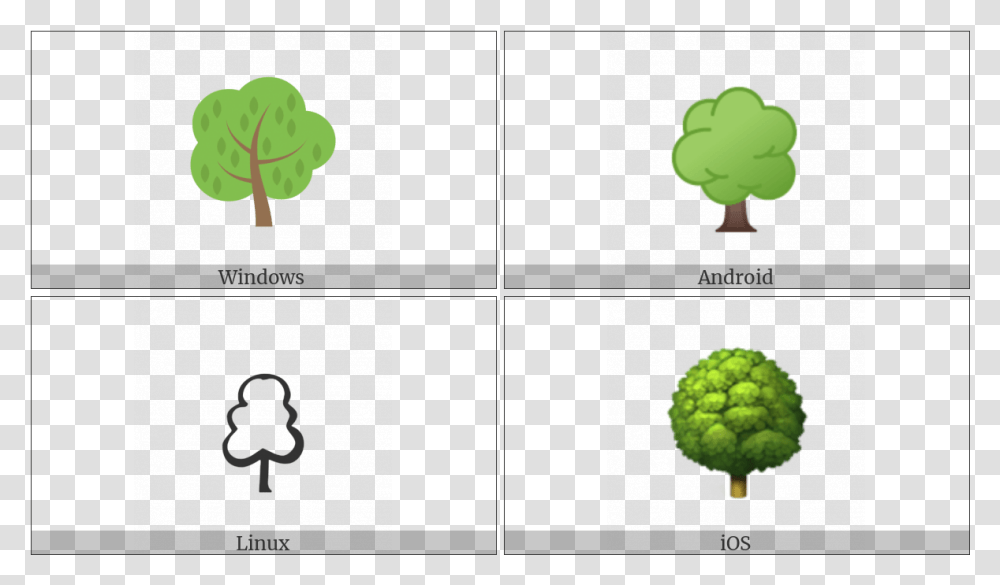 Deciduous Tree On Various Operating Systems Broccoli, Plant, Vegetable, Food, Cauliflower Transparent Png