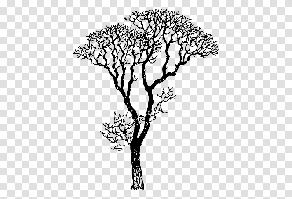 Deciduous Tree Tree Black And White, Gray, World Of Warcraft Transparent Png