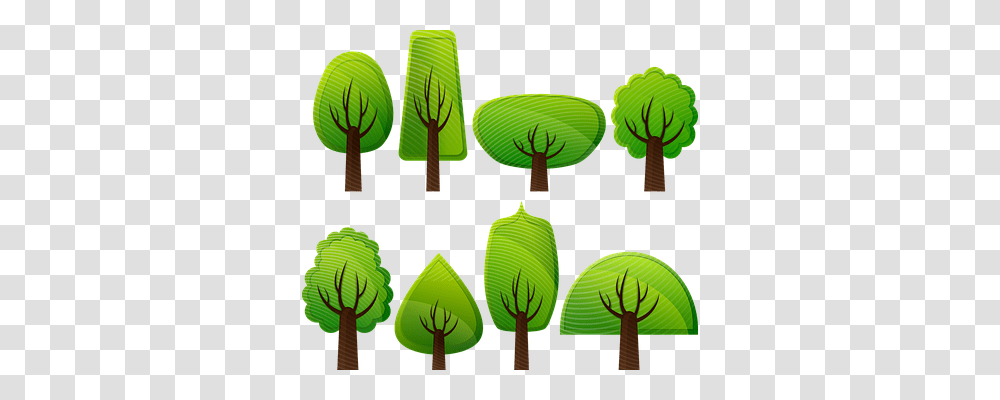 Deciduous Trees Nature, Plant, Green, Balloon Transparent Png