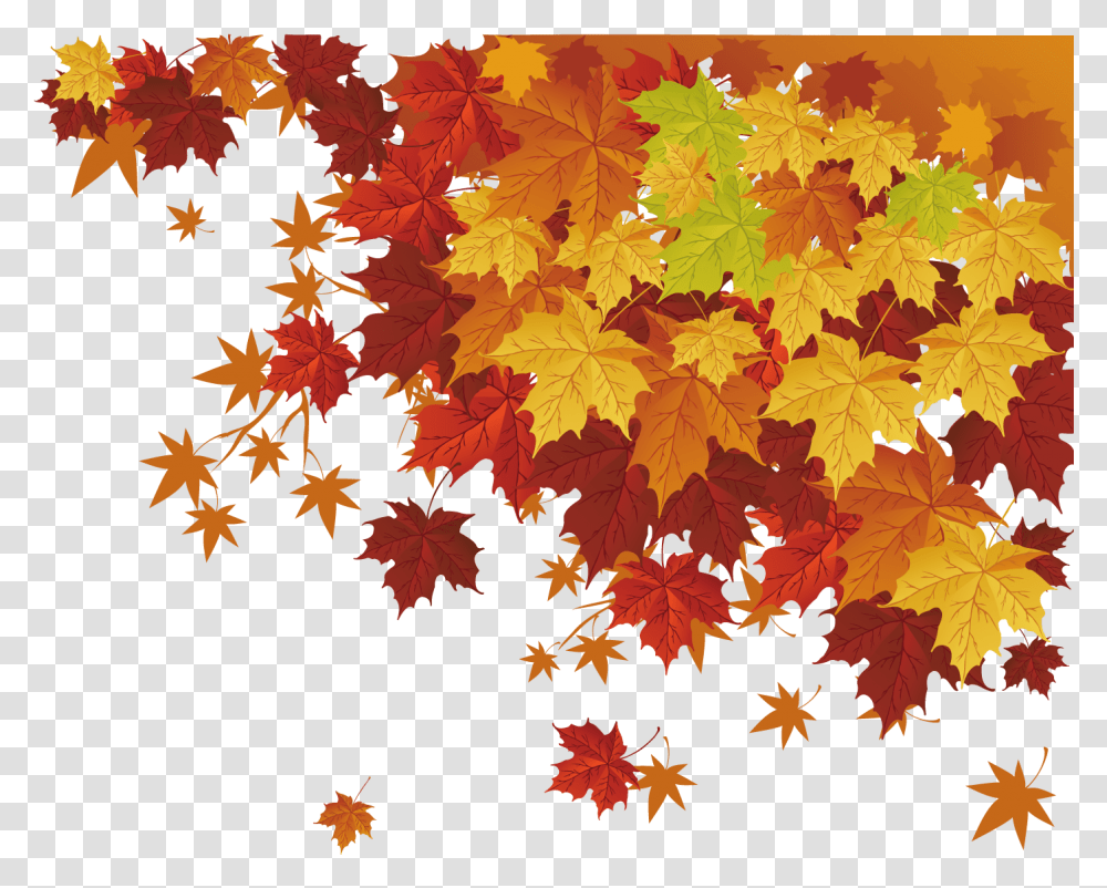 Deciduous Trees Vector Fall Leaves, Leaf, Plant, Maple, Rug Transparent Png