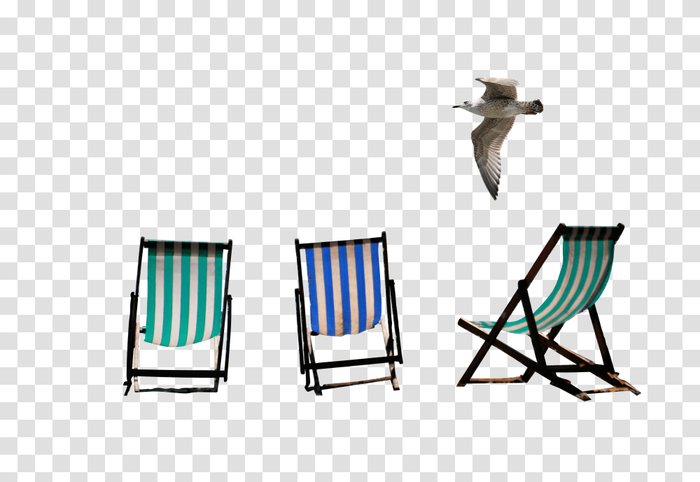 Deckchairs Clip, Holiday, Furniture, Animal Transparent Png