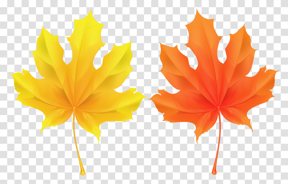 Deco Clipart Leaf Clip Art Transparent Png