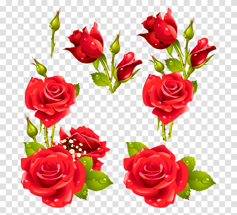 Decora Con Flores Rose Vector Free Download, Flower, Plant, Blossom, Petal Transparent Png