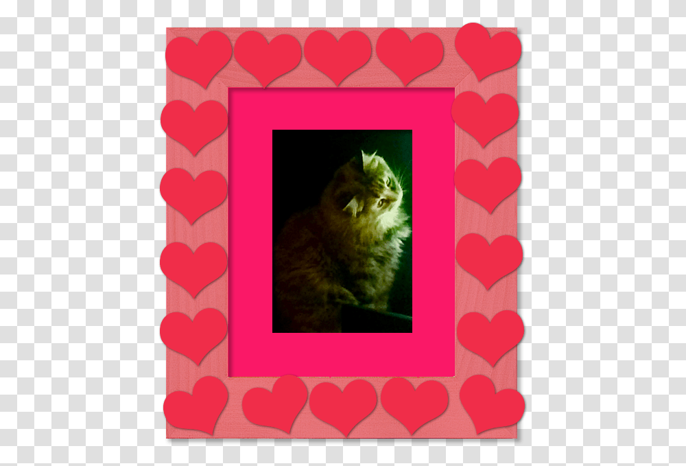 Decorate It Picture Frame, Cat, Pet, Mammal, Animal Transparent Png
