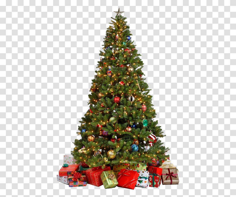 Decorated Christmas Tree, Ornament, Plant, Pine, Conifer Transparent Png