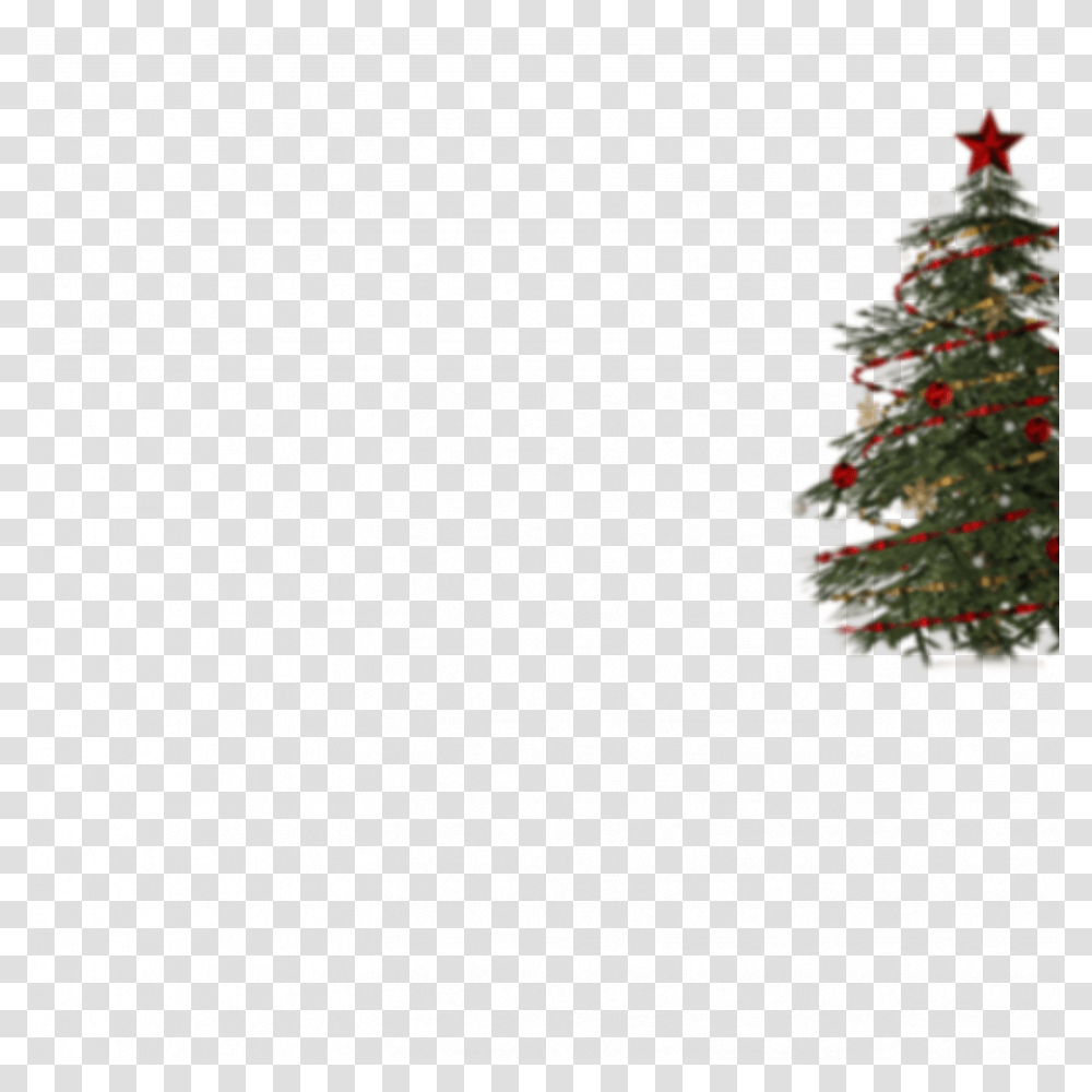 Decorated Christmas Tree, Plant, Ornament, Fir, Abies Transparent Png