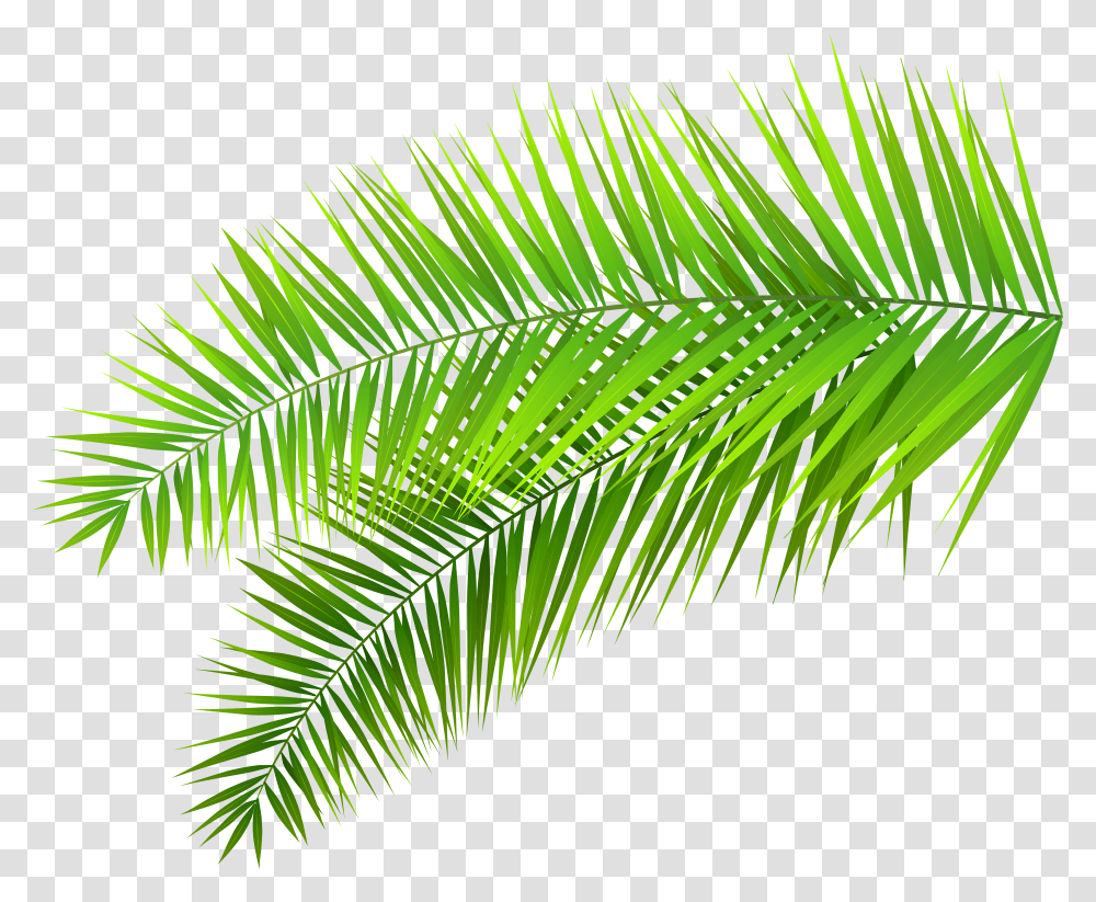 Decoration Clip Art Palm Leaf Background Transparent Png