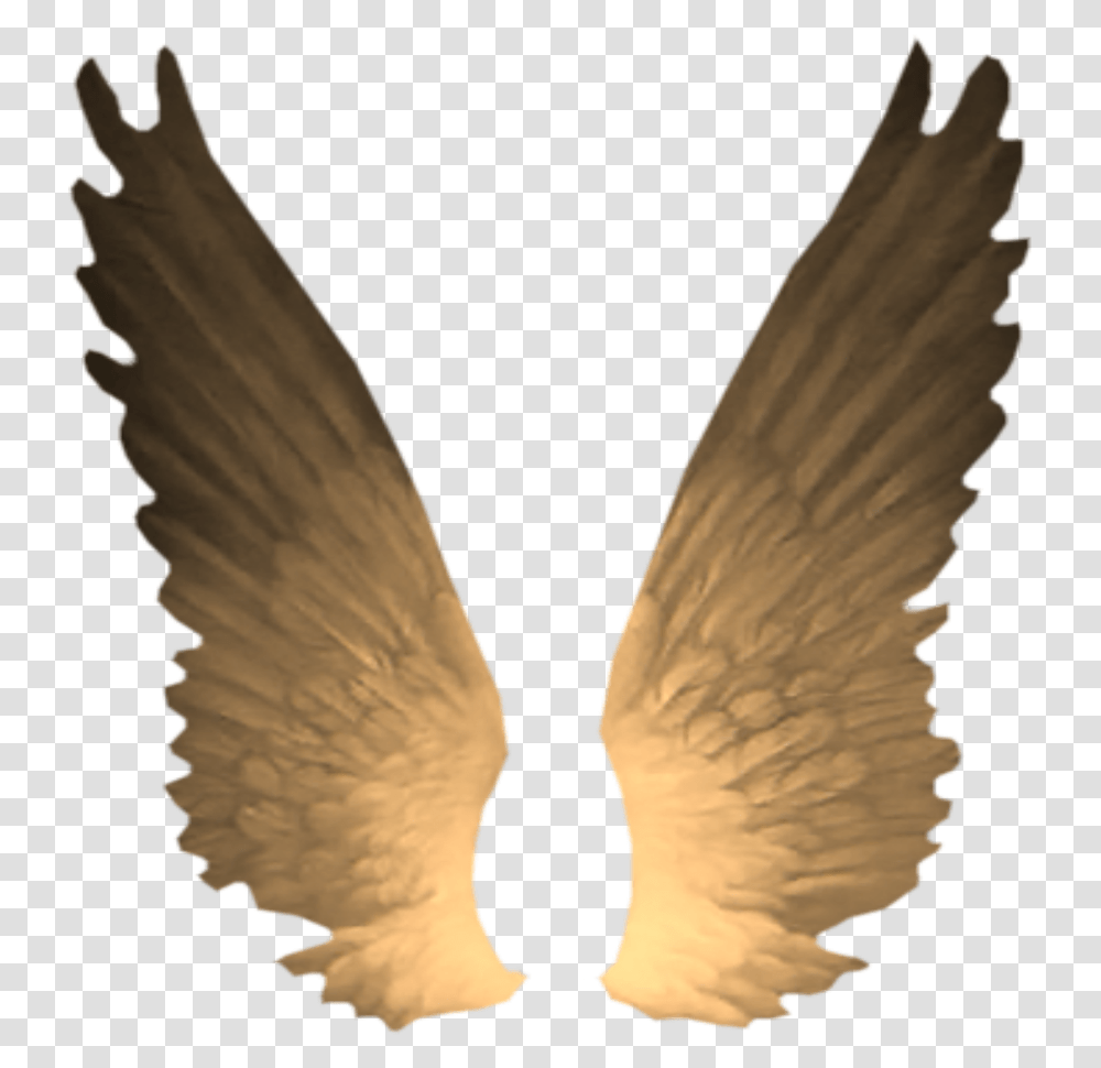 Decoration Decor Angel Wings Angelwings Stickers Gota Io Icon, Animal, Bird, Eagle Transparent Png