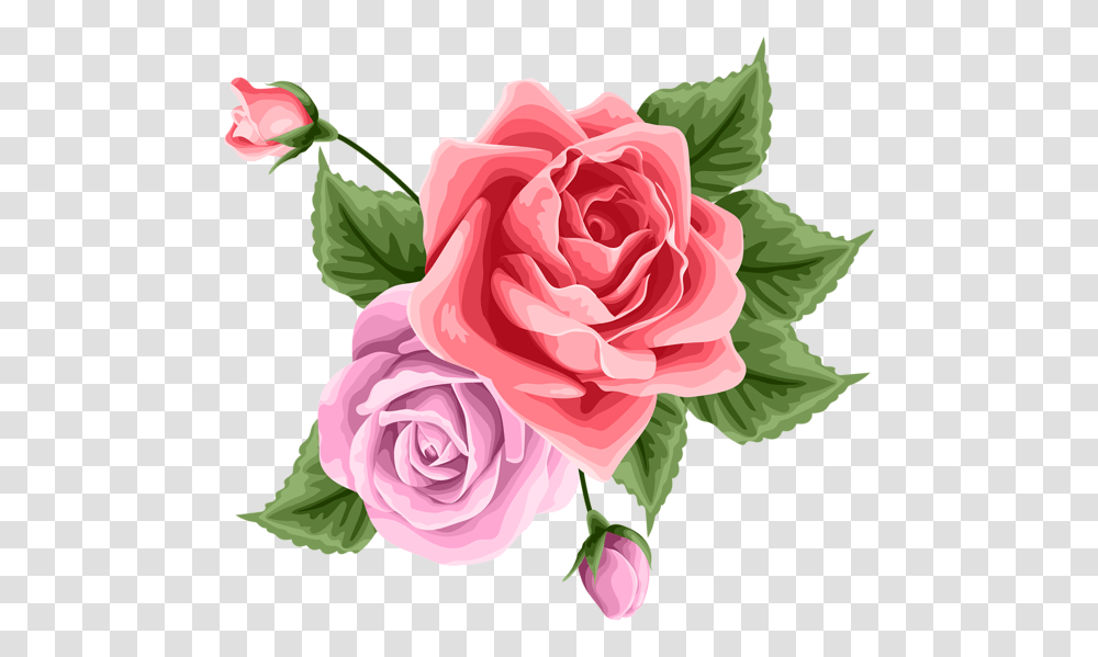 Decoration Rose, Flower, Plant, Blossom, Petal Transparent Png
