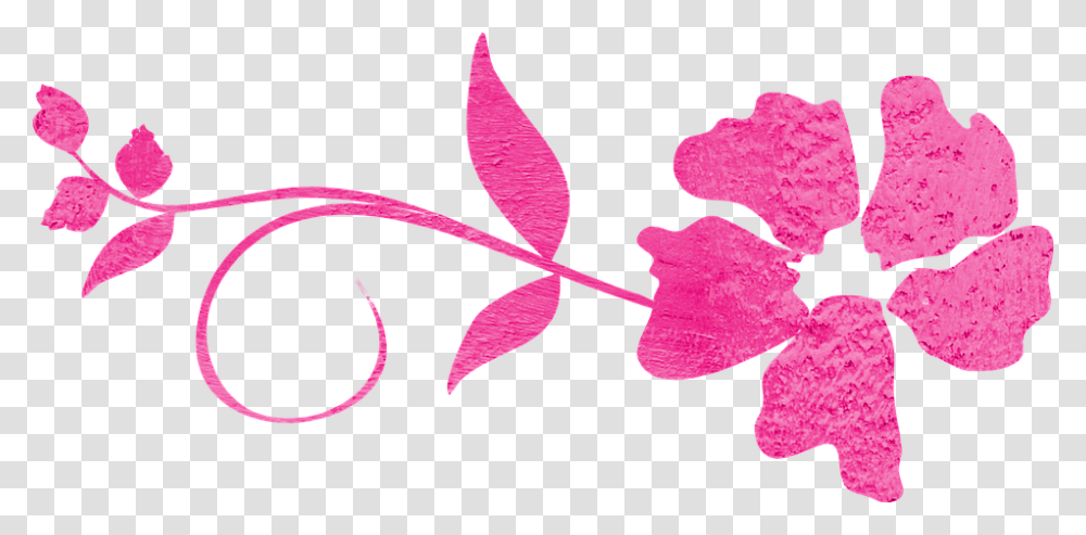Decorative Blue Line Curve Line Decorative Lines Pink Flower Swirl, Plant, Petal, Blossom, Hibiscus Transparent Png