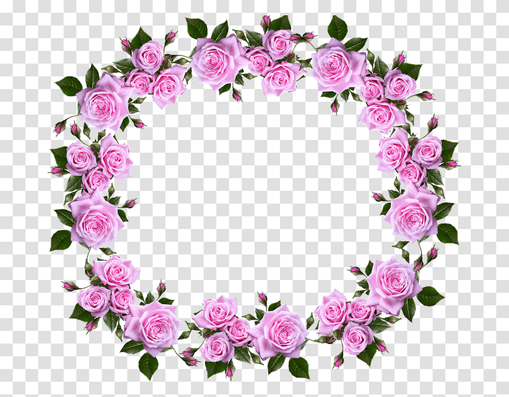 Decorative Border Border Design Rose Flower, Plant, Blossom, Floral Design, Pattern Transparent Png