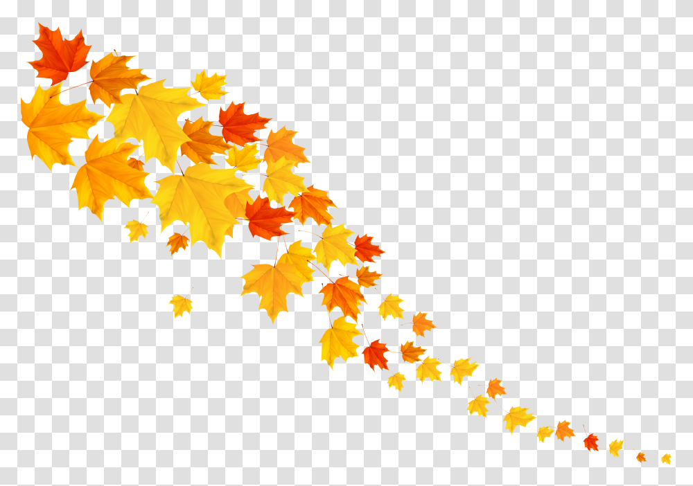 Decorative Clipart Autumn Fall Decoration, Leaf, Plant, Maple Leaf, Tree Transparent Png