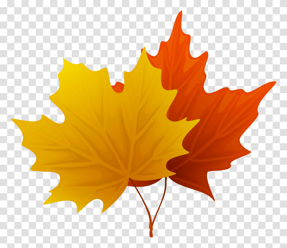 Decorative Clipart Fall Leaves Autumn Leaves Clipart, Leaf, Plant, Tree, Maple Leaf Transparent Png