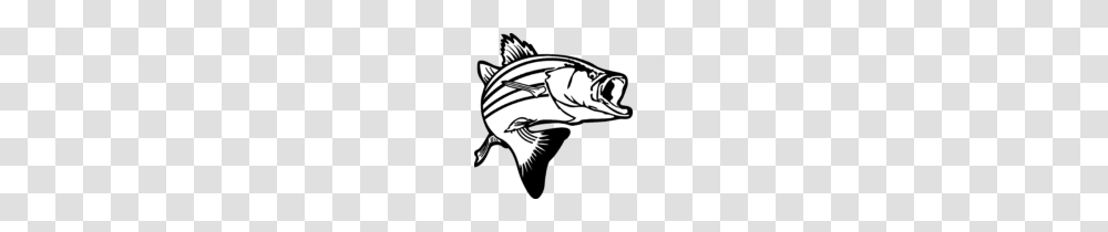 Decorative Clipart Fancy Line Clip Art, Cod, Fish, Animal, Sea Life Transparent Png