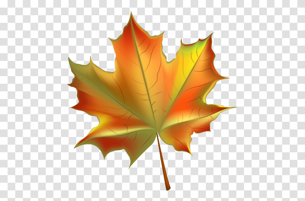 Decorative Elements, Leaf, Plant, Tree, Maple Leaf Transparent Png