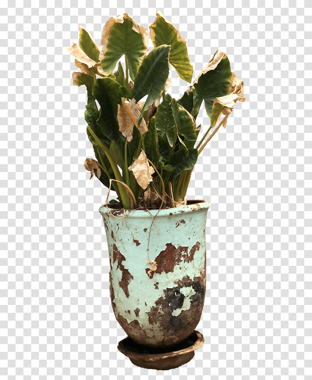 Decorative Exterior Old Plant Pot Old Flower Pot, Pineapple, Fruit, Food, Blossom Transparent Png
