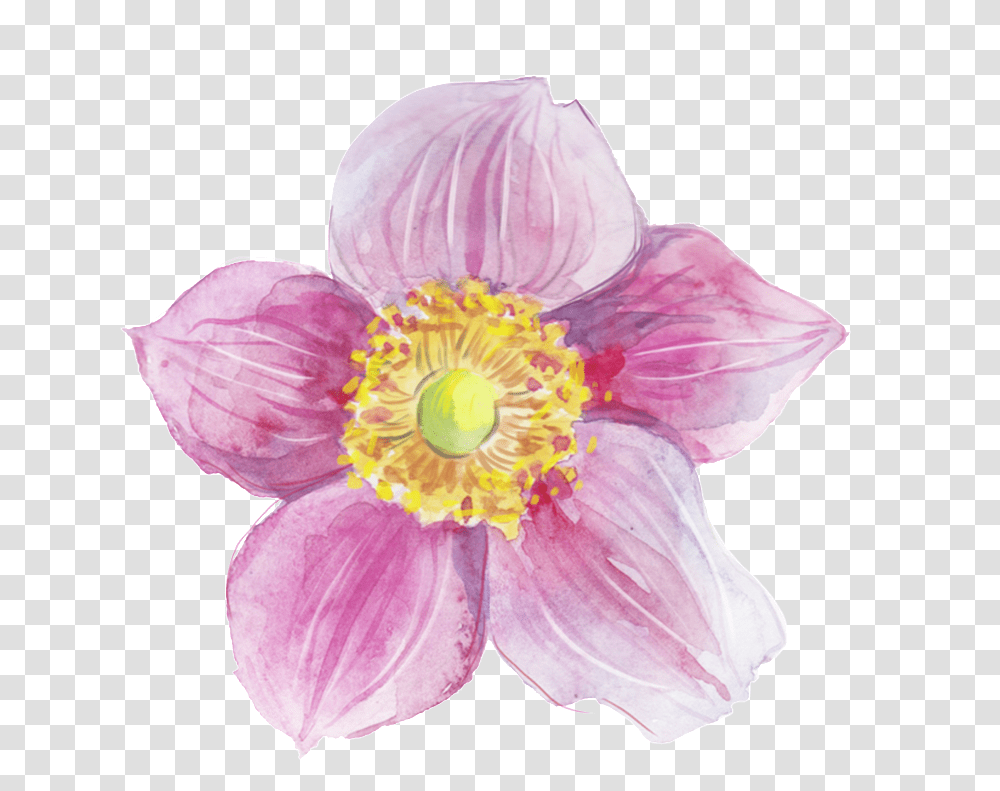 Decorative Heart Watercolor Painting, Plant, Flower, Blossom, Pollen Transparent Png