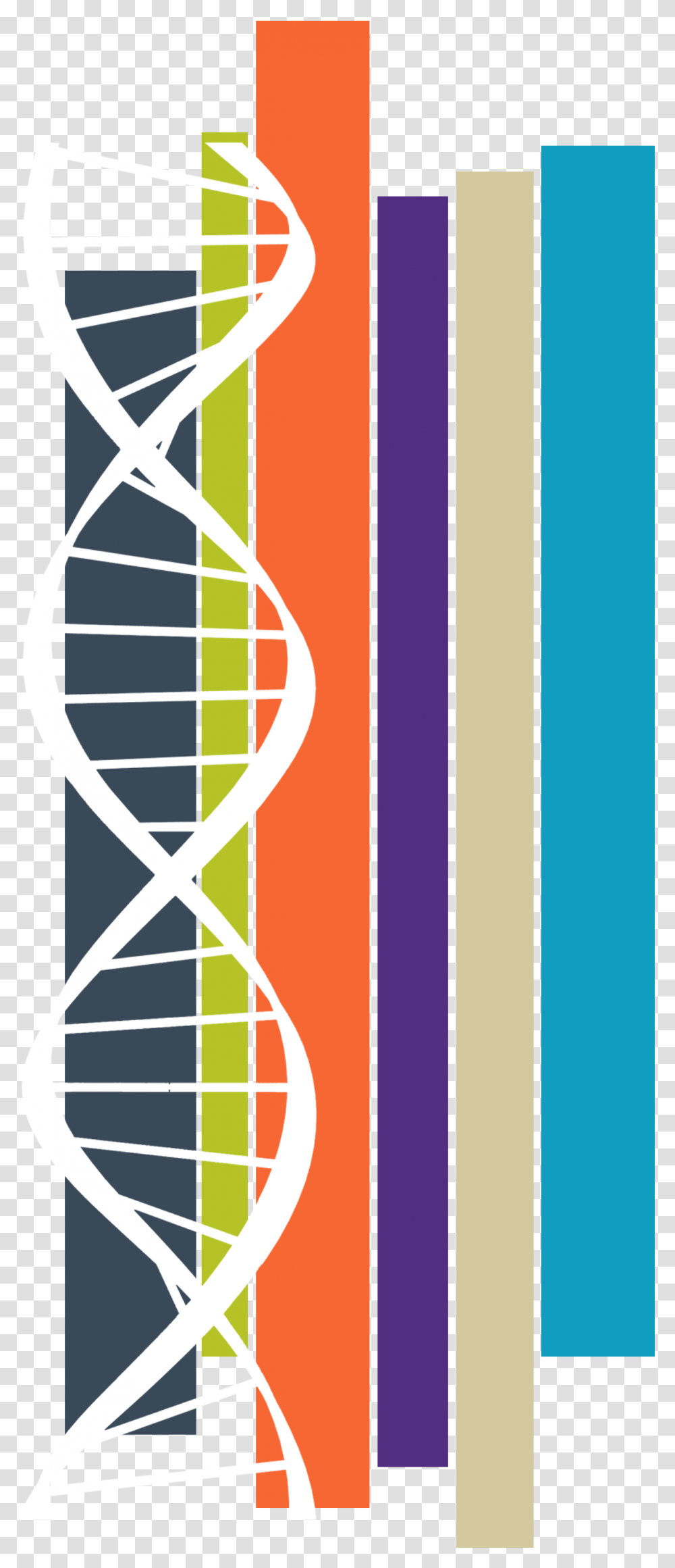 Decorative Image Of Dna Super Junior M, Hourglass, Modern Art Transparent Png