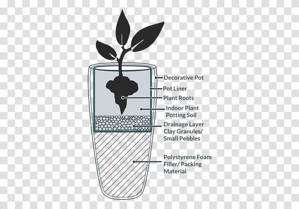 Decorative Pot With Pot Liner And Repotted Indoor Houseplant Indoor Plant Drainage, Tin, Can, Aluminium, Canned Goods Transparent Png