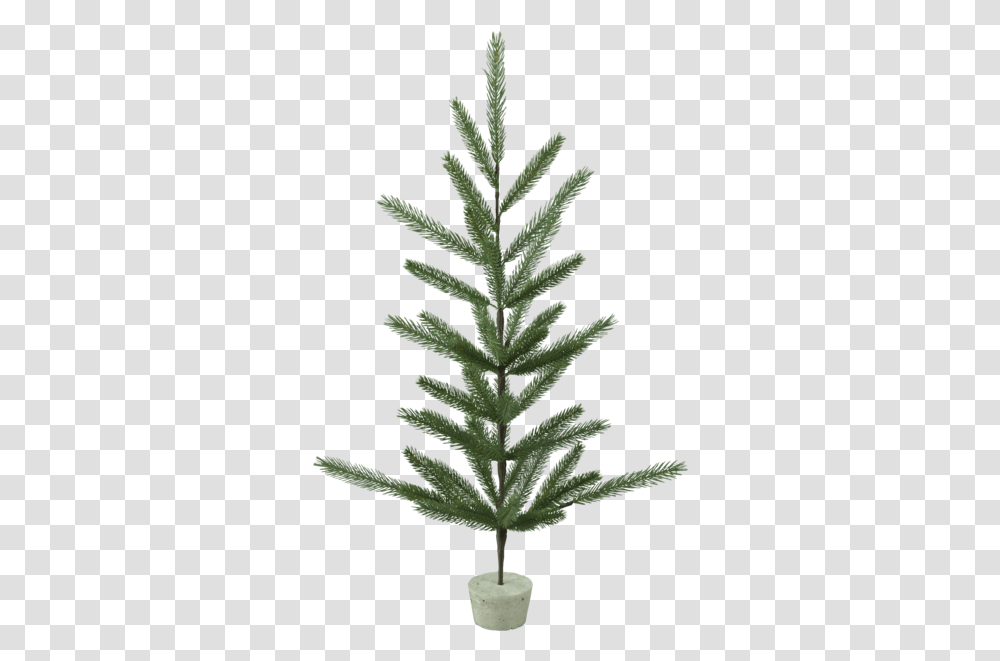 Decorative Tree Boda Christmas Tree, Plant, Conifer, Fir, Abies Transparent Png