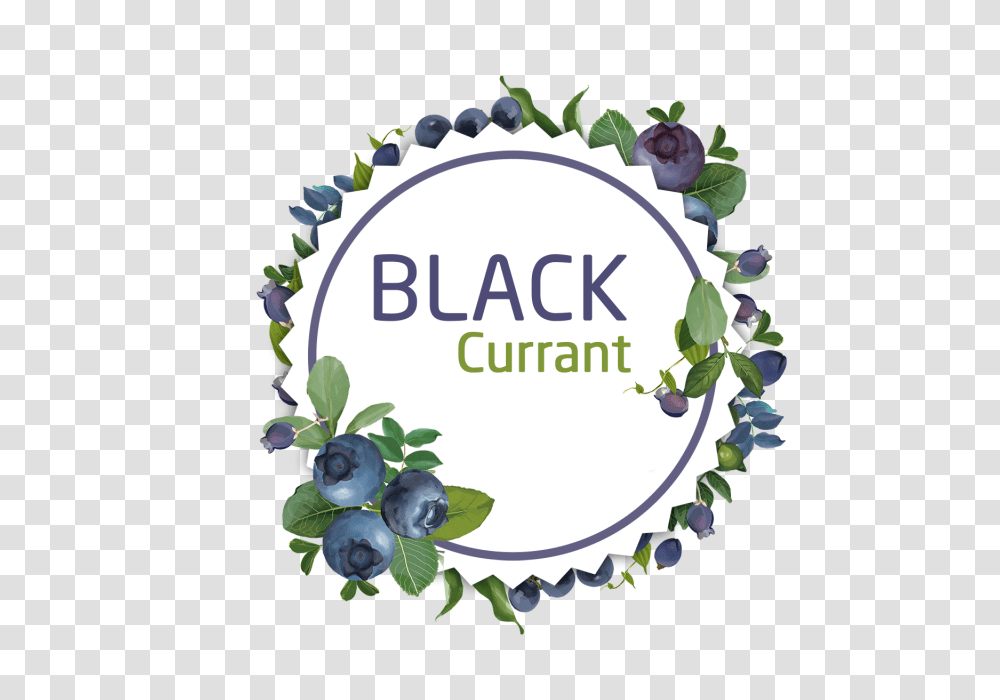 Decorative Watercolor Black Currant Wreath Stickers Decorative, Plant, Blueberry, Fruit, Food Transparent Png