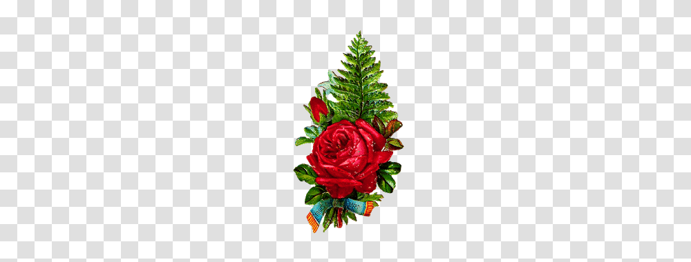 Decoupage Fern, Plant, Rose, Flower, Blossom Transparent Png