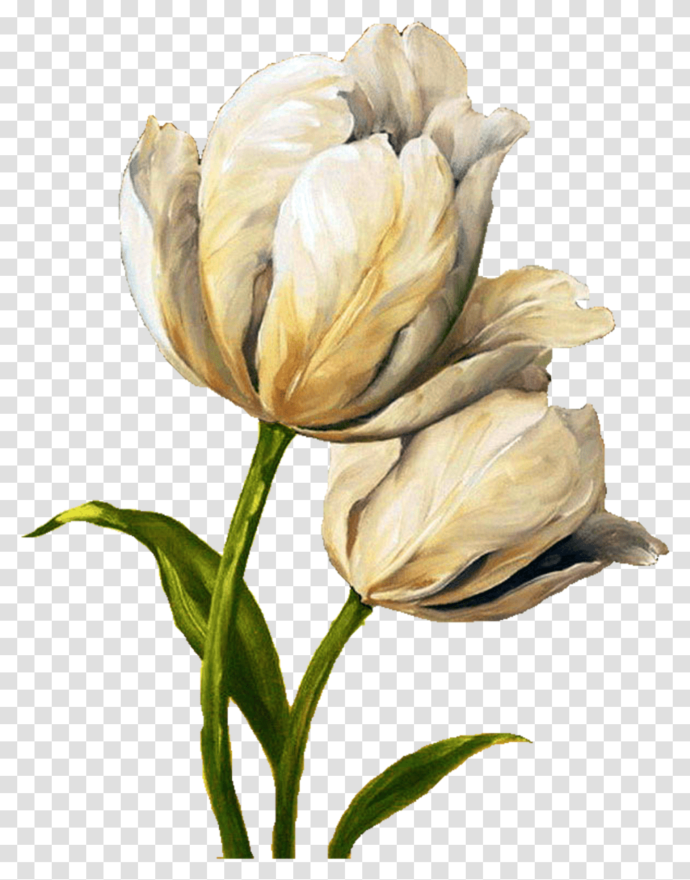 Decoupage Flower Painting Tulip Tulips Flower Yellow Paint, Plant, Petal, Blossom, Rose Transparent Png
