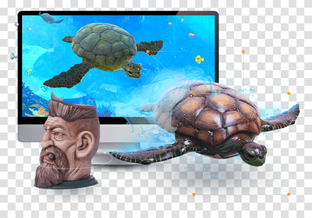 Decrease Costs Effectively Gopher Tortoise, Turtle, Reptile, Sea Life, Animal Transparent Png