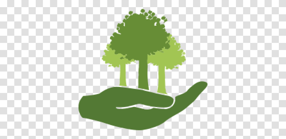 Dedicate A Tree Native Forest Restoration Trust Planting Trees Icon, Vegetable, Food, Green, Produce Transparent Png