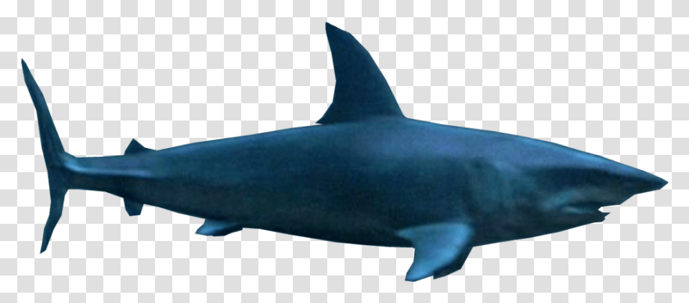 Deep Blue Sea Mako Shark By Sonic2006fan Dca2jn5 Requiem Shark, Sea Life, Animal, Fish, Mammal Transparent Png
