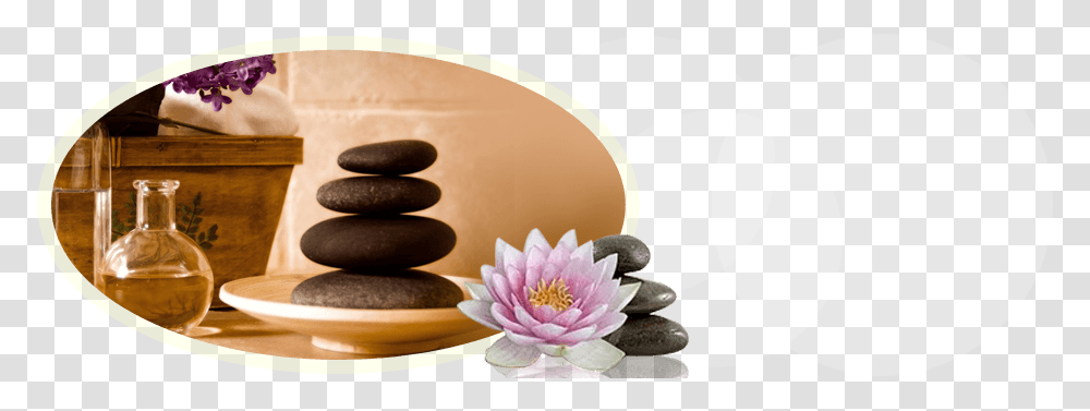 Deep Body Tissue Massage Sacred Lotus, Plant, Food, Sweets, Egg Transparent Png