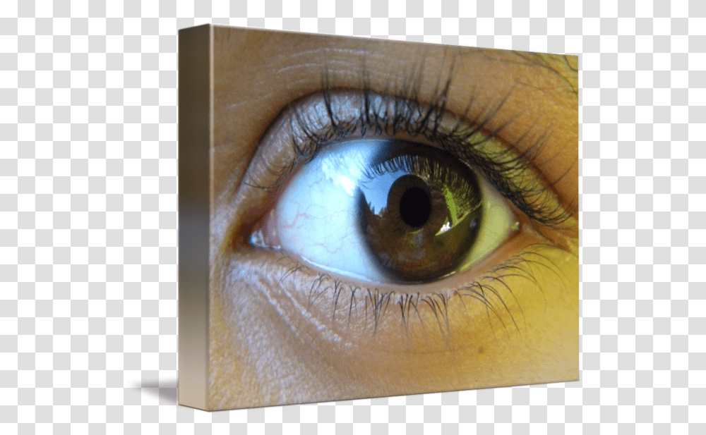 Deep Brown Eyes By, Contact Lens, Skin Transparent Png